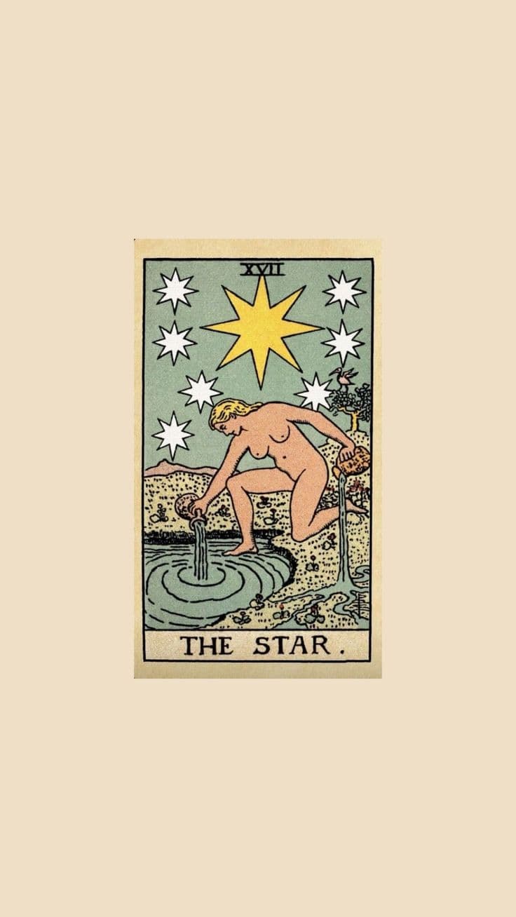 Stellar Insights